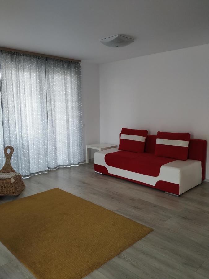 Exquisite Apartament Brasov Bagian luar foto